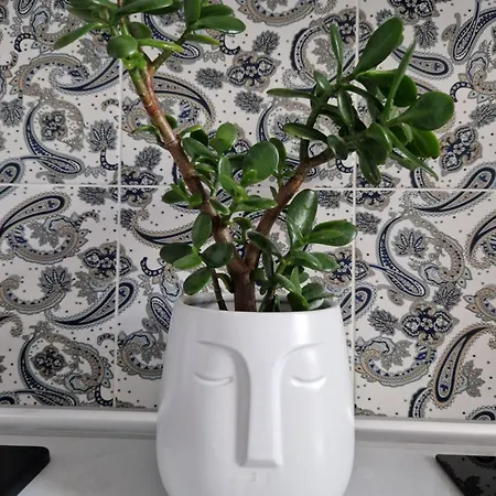 Lejlighed Juwel Indyjski Ap 29 Kraków